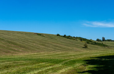 Obraz premium Rolling Green Hills Under Clear Blue Sky