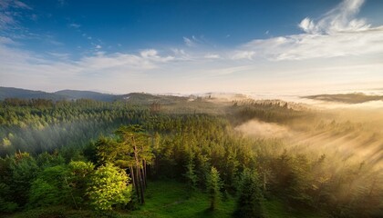 Whispers of nature echo through the mist.  