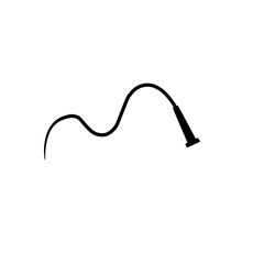 whip rope icon
