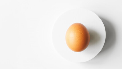Brown chicken egg in a white circle on a white background. Photo. Copy space
