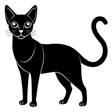 recommend clip art: black and white cat