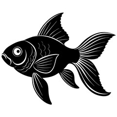 fish on a white background