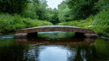 Fototapeta premium Serene wooden bridge over a tranquil stream in a lush forest