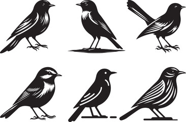 illustration of a creative bird