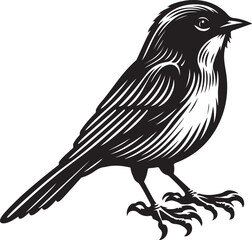 illustration of a creative bird