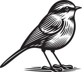 illustration of a creative bird