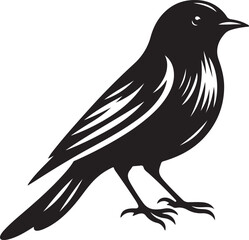illustration of a creative bird