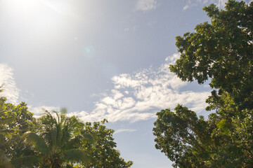 Obraz premium Night long exposure taken on blue moon night from rural area in kerala