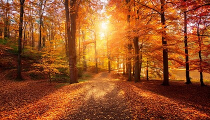 Fototapeta premium Every turn reveals new bursts of color. 