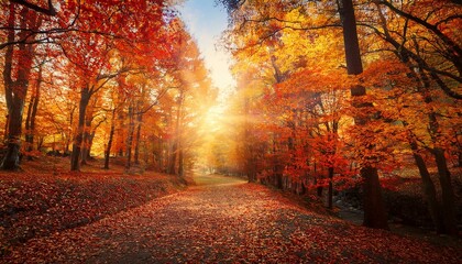 Fototapeta premium The changing leaves tell stories of transition. 