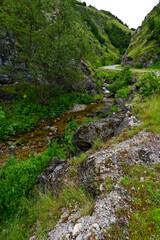 Bach am Wegrand - Crveni Kuk, Dinarische Alpen, Bosnien-Herzegowina // Stream along a road - Crveni Kuk, Dinaric Alps, Bosnia-Herzegovina
