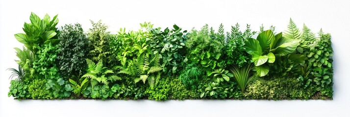 Green Plants Wall Foliage, Lush Vertical Garden with Ferns, Moss, and Leaves on White Background, Nature Asset Concept, Natural Home Decor Design