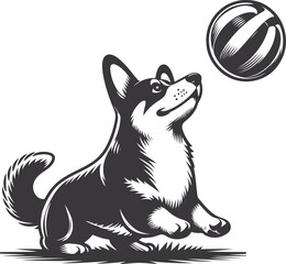 Pembroke Welsh corgi dog silhouette vector design