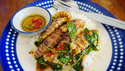 Stir-fried Mantis shrimp with basil top on rice, Seafood Thai style cuisine