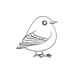 birds coloring page
