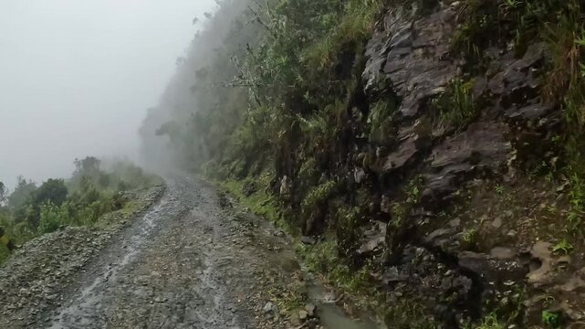 Path in the mountains, Yungas