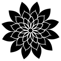 black and white flower isolated