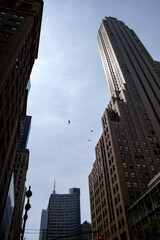 Looking up at New York City high rise birds flying