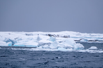 Antarctica view. Seascape and landscape. Southern ocean, glacier