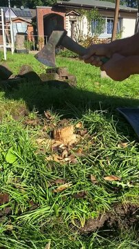 Baumstumpf mit einer Axt entfernen