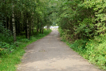 Path