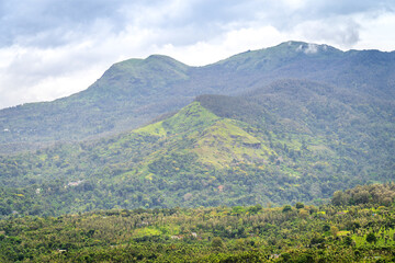 Fototapeta premium Yellamalai from Gudalur, Tamil Nadu - A Plantation Village in Tamil Nadu Neelagiri District.