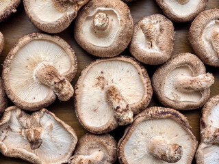 신선한 유기농 채소 표고버섯