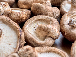 신선한 유기농 채소 표고버섯