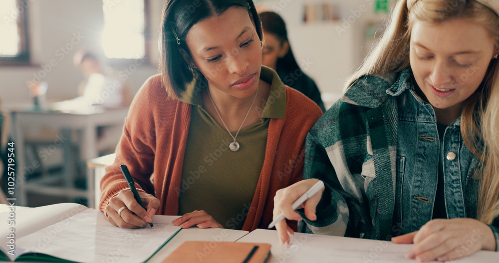 Poster Education, help and friends writing notes in classroom with studying for test, exam or assignment. Learning, girls and students working on team project together with books for information at academy.