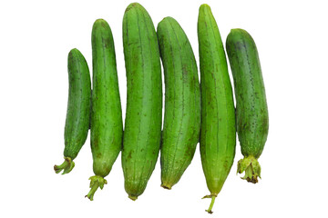 Group of Long, green Sponge gourd with ridges and smooth skin on isolate white background