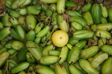 Green star fruit