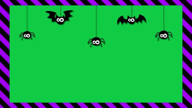 halloween frame with bats and spiders hanging on green background animation, halloween spooky elements overlay social media motion design element