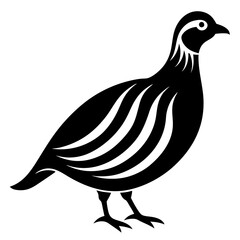 hen isolated on white