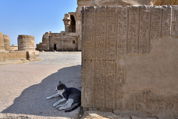 Kom Ombo temple and the Crocodile Museum is the most famous landmark in Aswan, Egypt