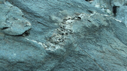 Close-up of Rough, Gray Rock Texture