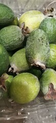 Fruit guava