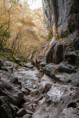 Caves of Zugarramurdi. Navarra. Spain