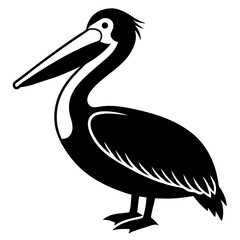 illustration of a pelican