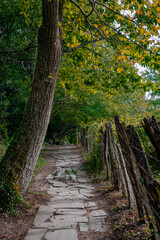 Trails in the Zugarramurdi forest. Navarra. Spain