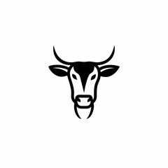 Fototapeta premium cow