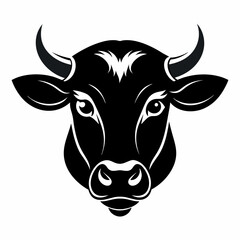 Fototapeta premium cow