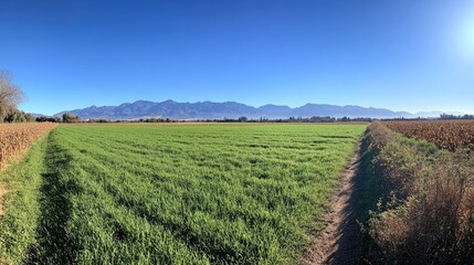 Obraz premium Expansive Bright Green Field with Mountains in Background
