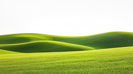 Vibrant Green Pasture Under a Clear Sky