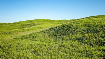 Obraz premium Lush Green Hillside Under Clear Blue Sky