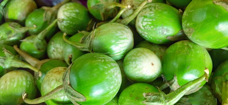 A pile of fresh green thai egg plant is usually called terong lalap hijau in Indonesia. Ready sold at traditional market