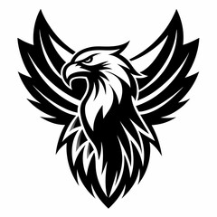 Fototapeta premium Eagle 