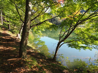 木陰と湖 PA121679