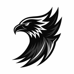 Fototapeta premium Eagle 