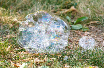 A large bubble sits on the grass, surrounded by smaller bubbles