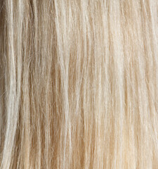 A close up of blonde hair with a lot of texture